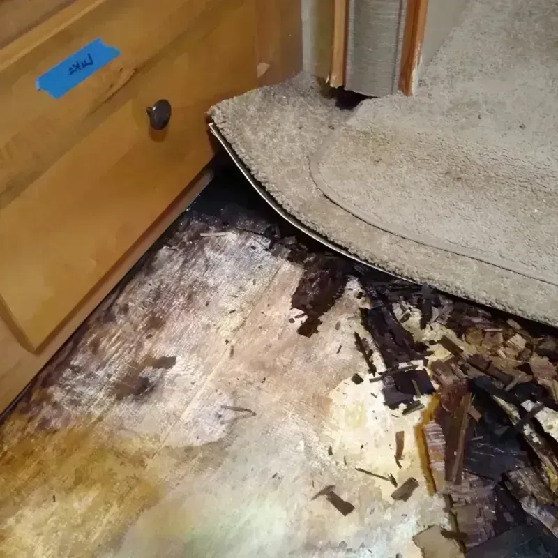 Wood Floor Water Damage in Slippery Rock, PA